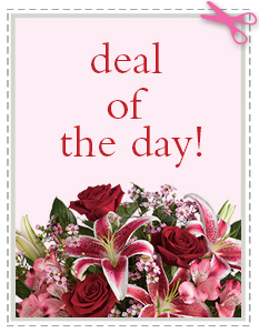 Deal of the Day in Greenville OH, Plessinger Bros. Florists